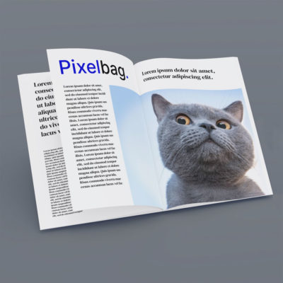 Magazine Inner Pages Mockup Free Download