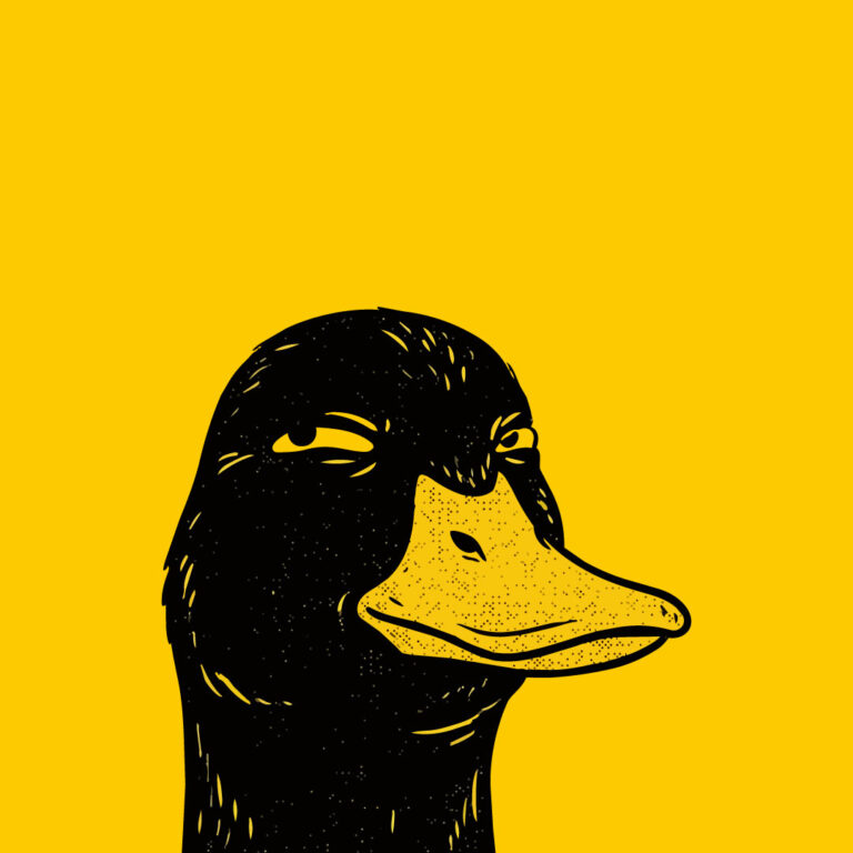 Funny Duck Face Vector Illustration (AI, PDF, EPS)